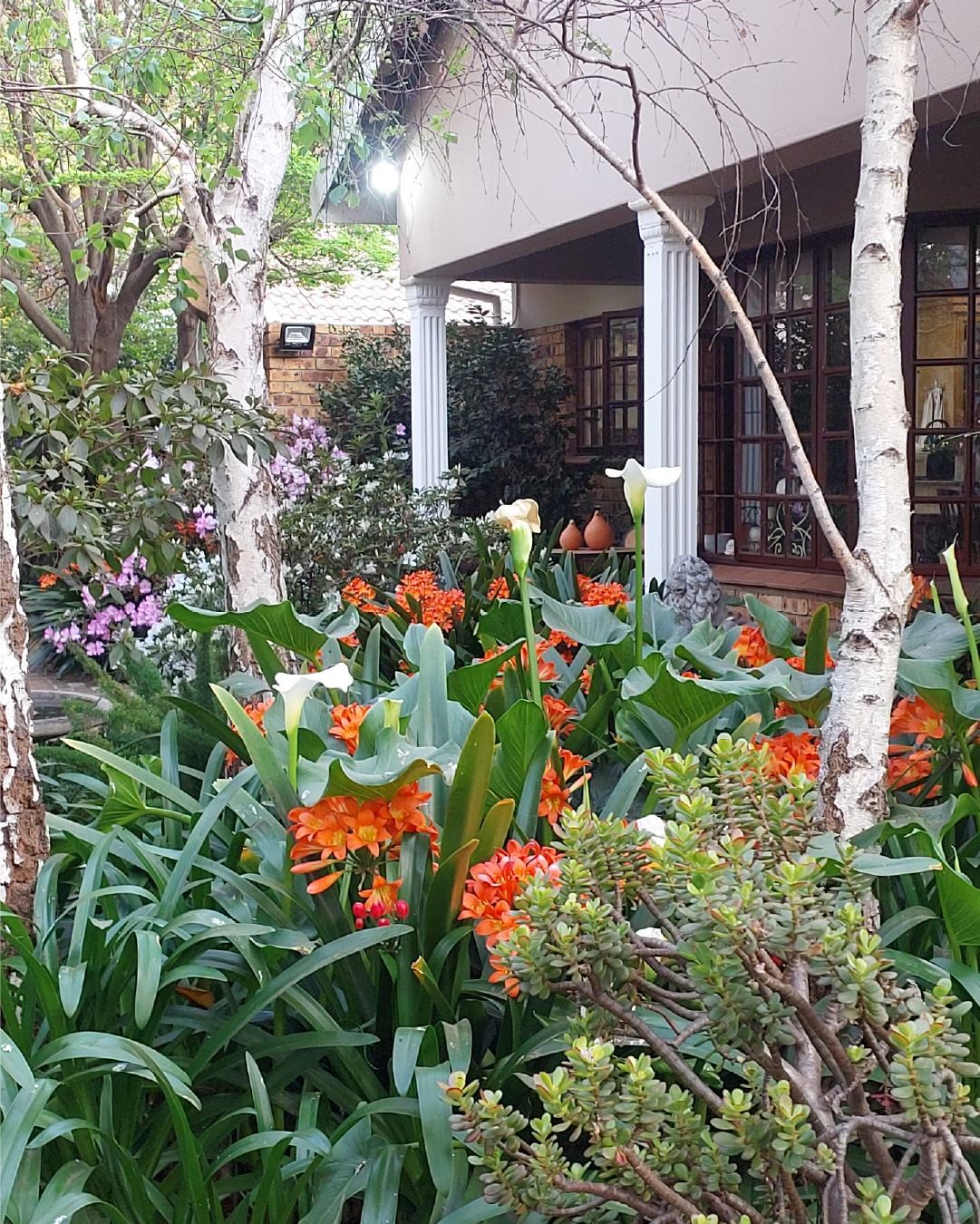 Birches Guest House-100