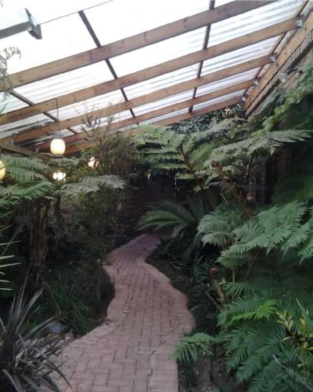 Pumpkin Tree Guest House-100